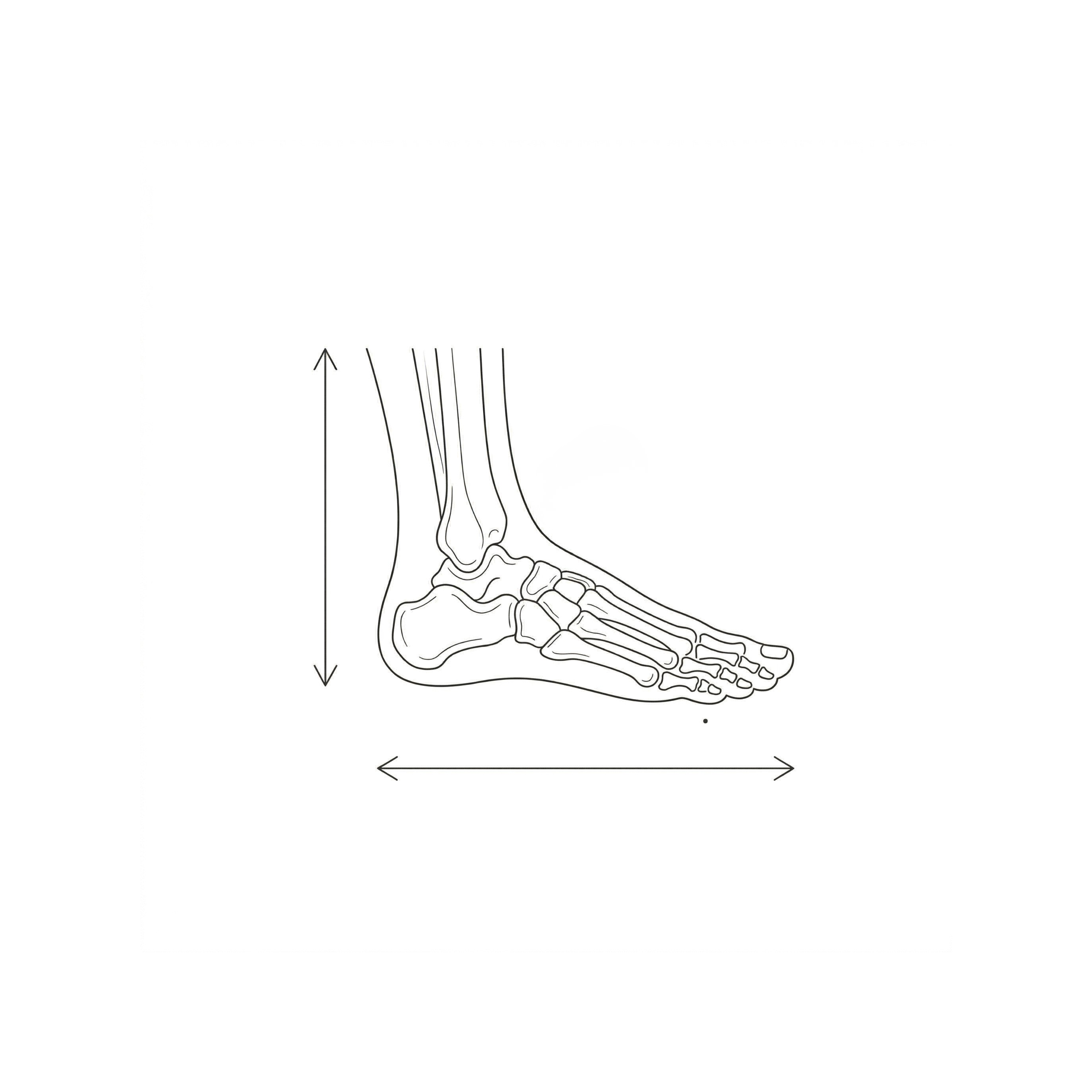 Passt in jeden Schuh. Für Sneaker, Arbeitsschuhe und Alltagsschuhe geeignet.
